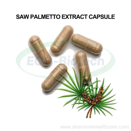 Prostate Health Support with Saw Palmetto Extract Capsules